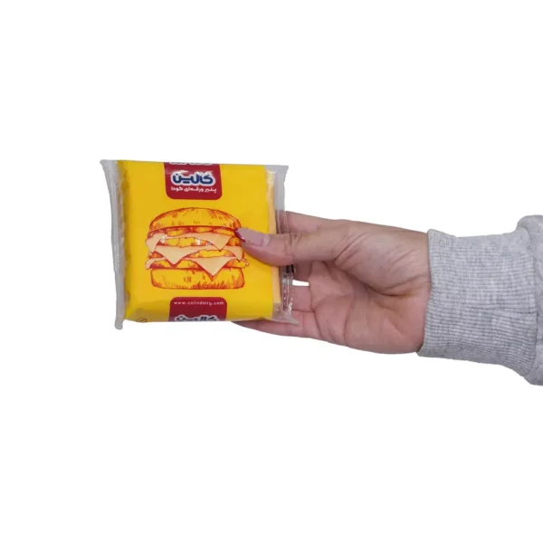 پنیر ورقه‌ای تست گودا ۱۸۰ گرم کالین در دست