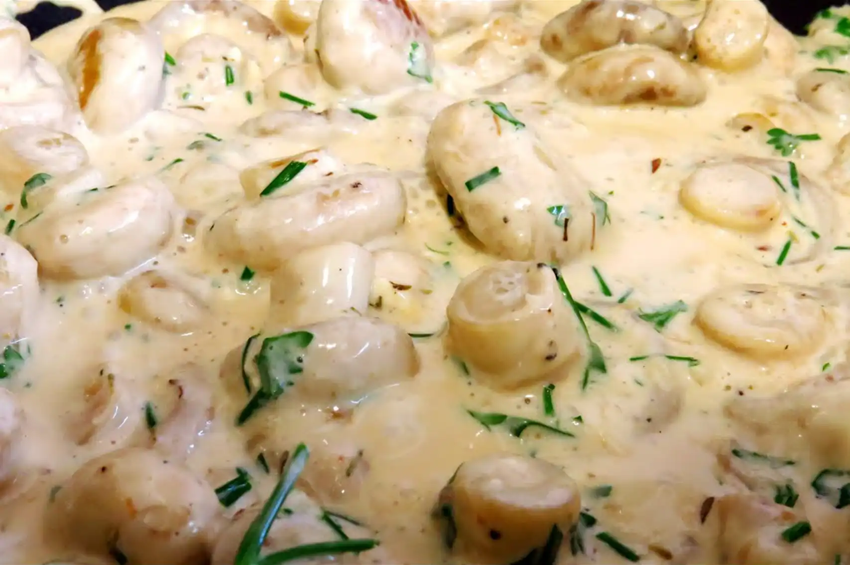 homemade creamy garlic sauce