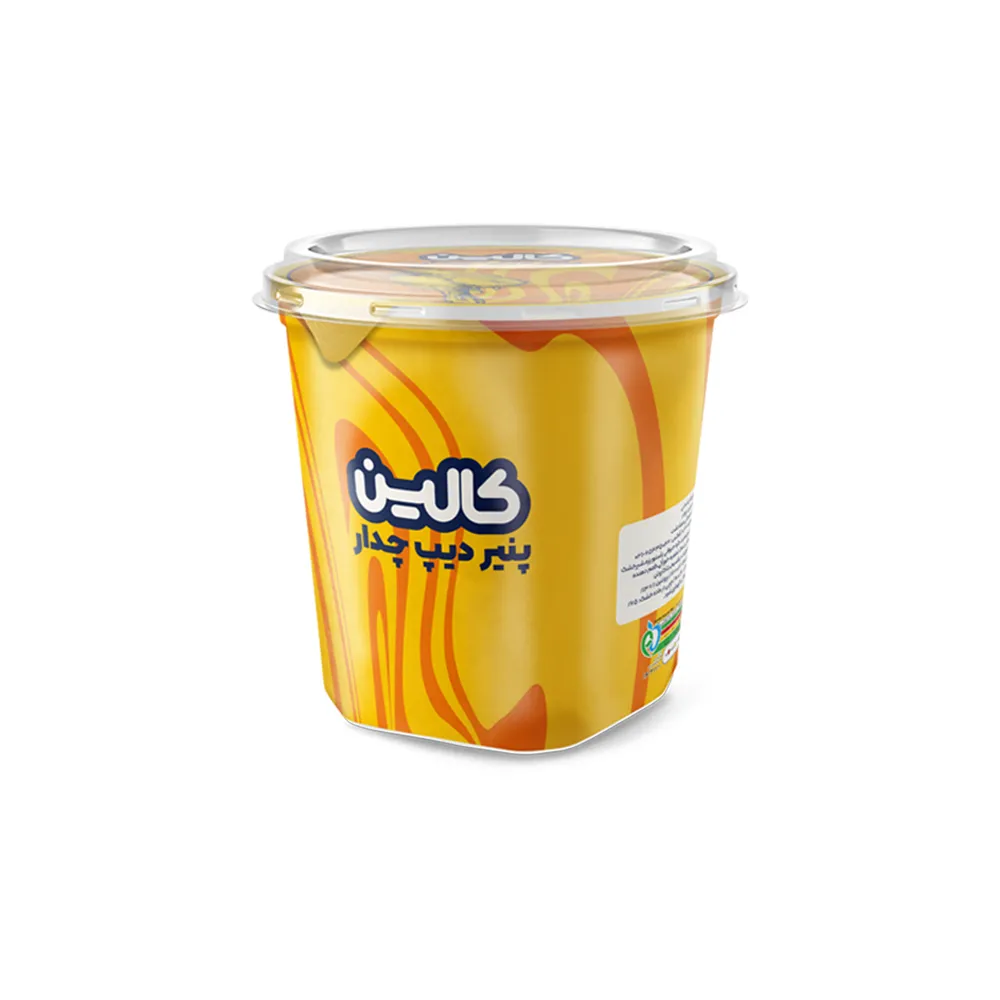 00 پنیر دیپ چدار ۸۰۰ گرم
