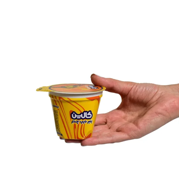 عکس دیپ چدار 100 گرم