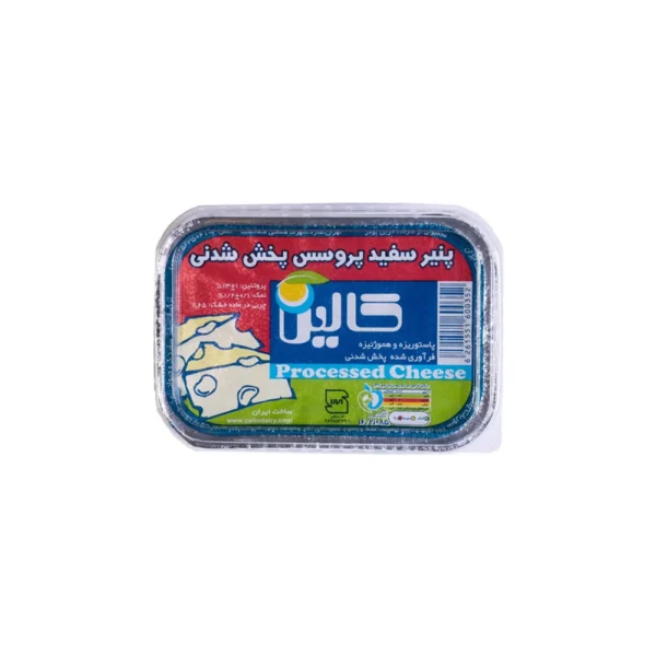 پنیر صبحانه سفید-۳۰۰ گرم