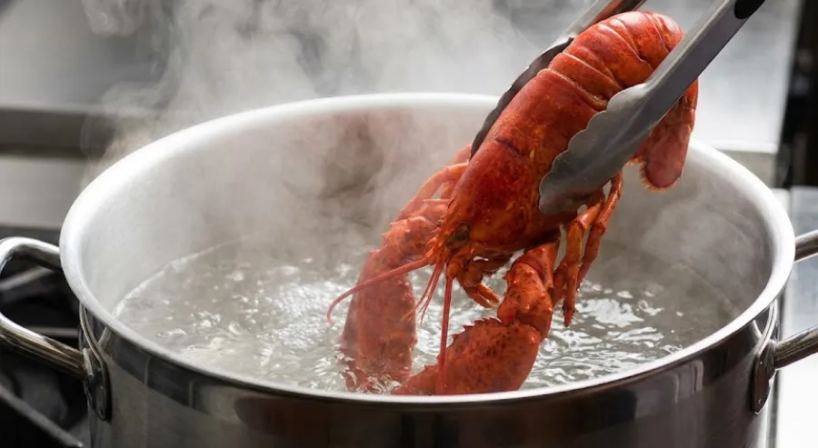 How to Make Lobster (Step-by-Step)