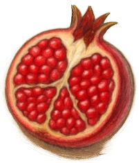 انار باز شده انار تزئینی گوشه پایین راست