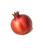 انار تزئینی گوشه بالا چپ