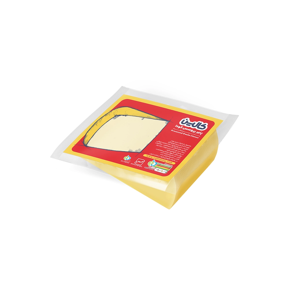 پنیر پروسس گودا 350 گرم