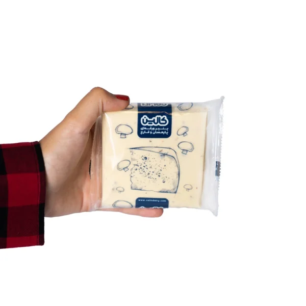 پنیر ورقه‌ای پارمسان و قارچ ۱۸۰ گرم در دست