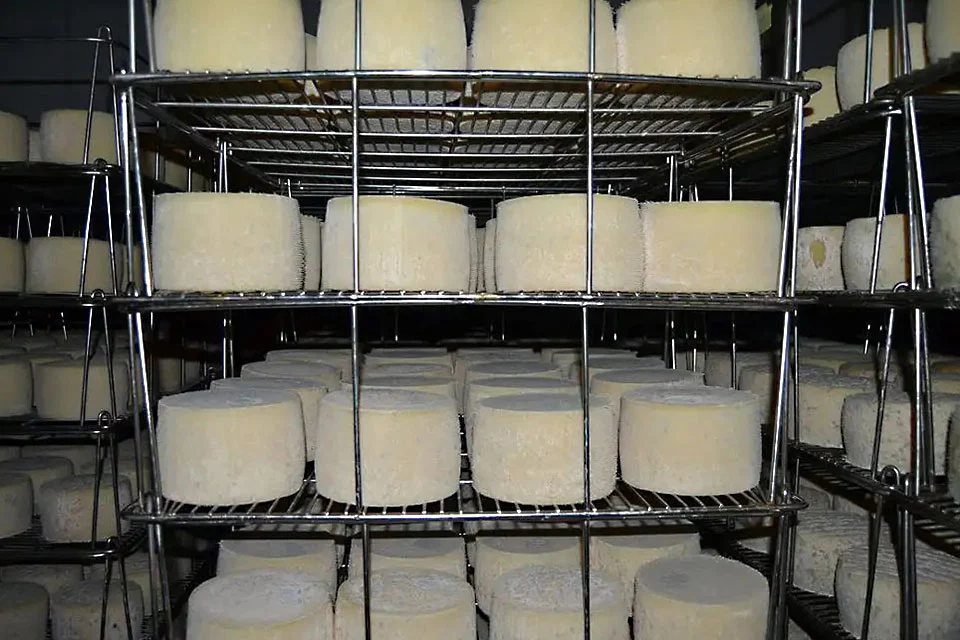 ایدیازابل پنیر