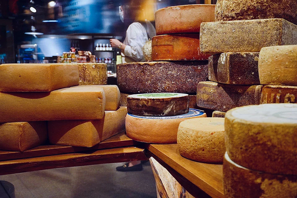 10 مقصد برای عاشقان پنیر