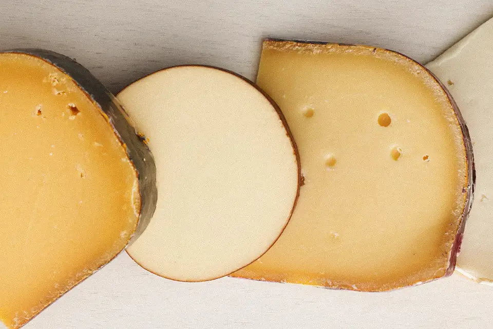 حفظ تازگی و ماندگاری انواع پنیرها
