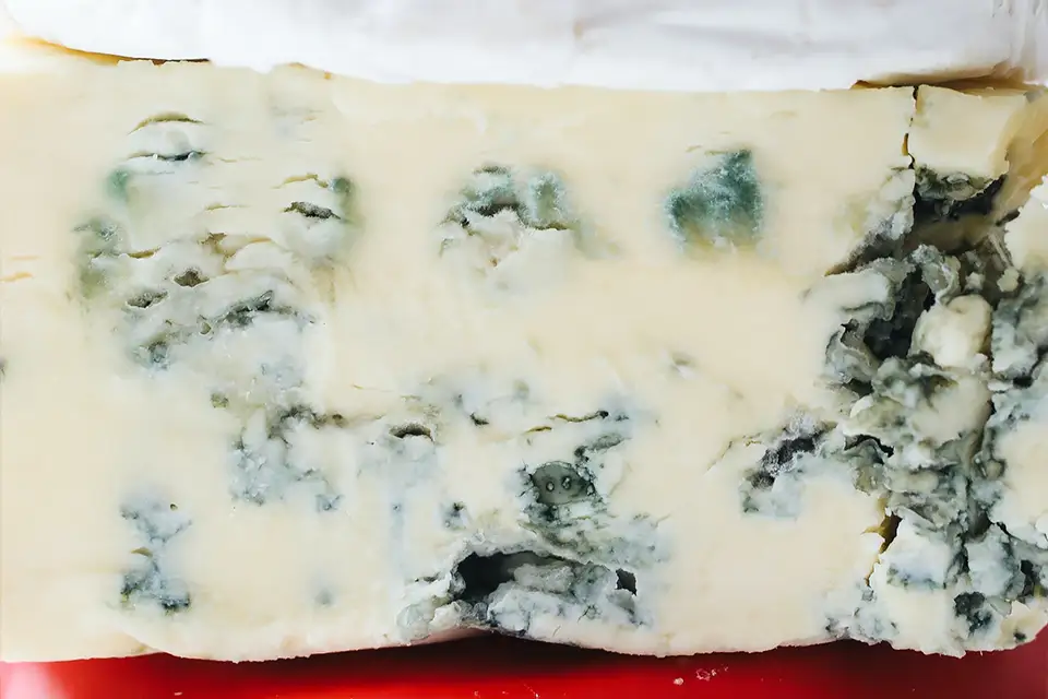 پنیر پروبیوتیک طبیعی